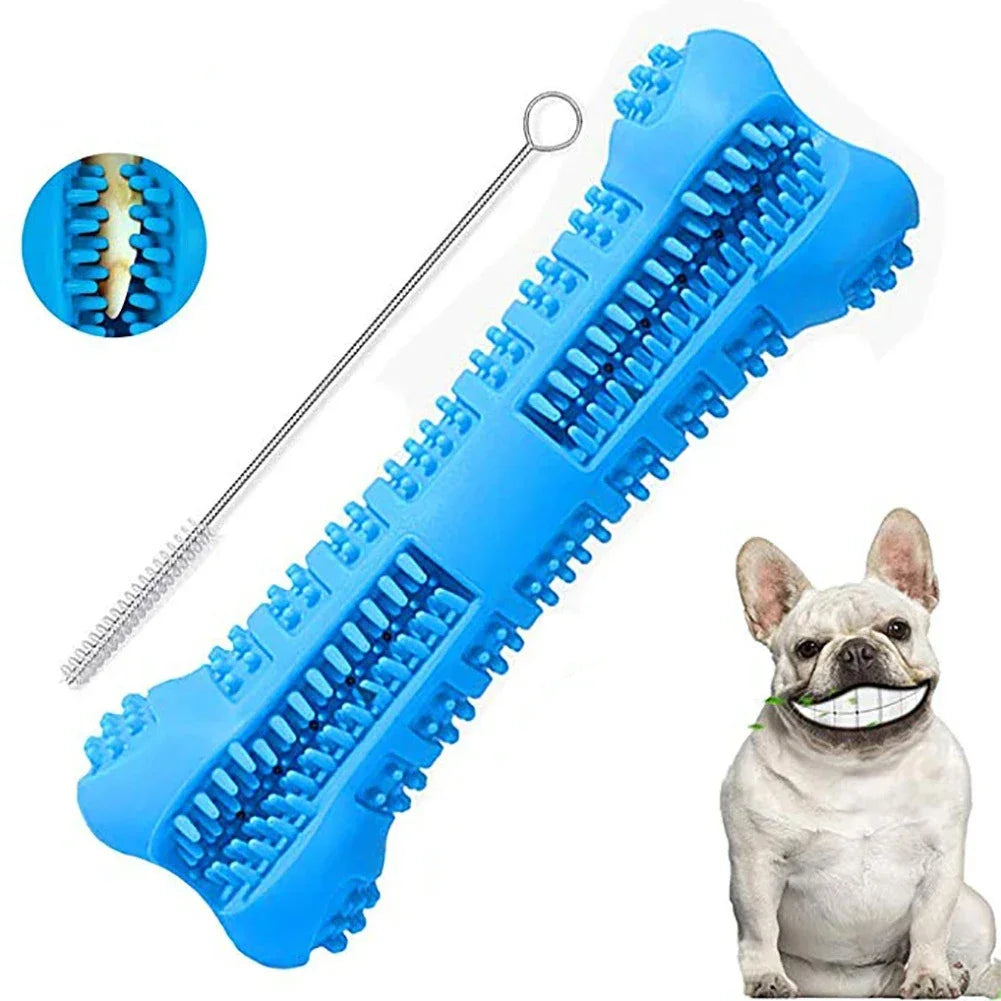 SorrisoCanino 360